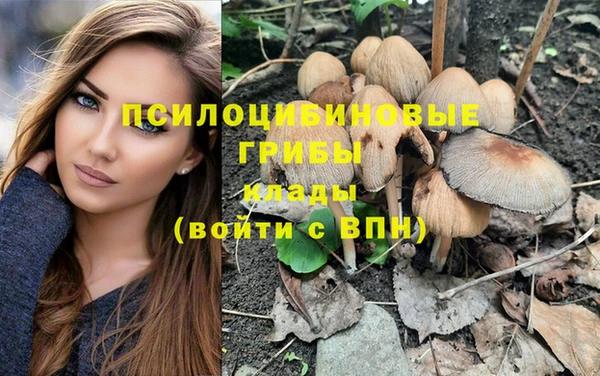соль курить ск Покачи