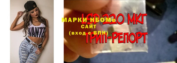 спиды Пересвет