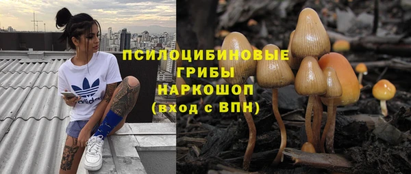 apvp Абинск