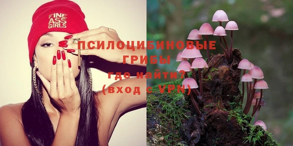 apvp Абинск